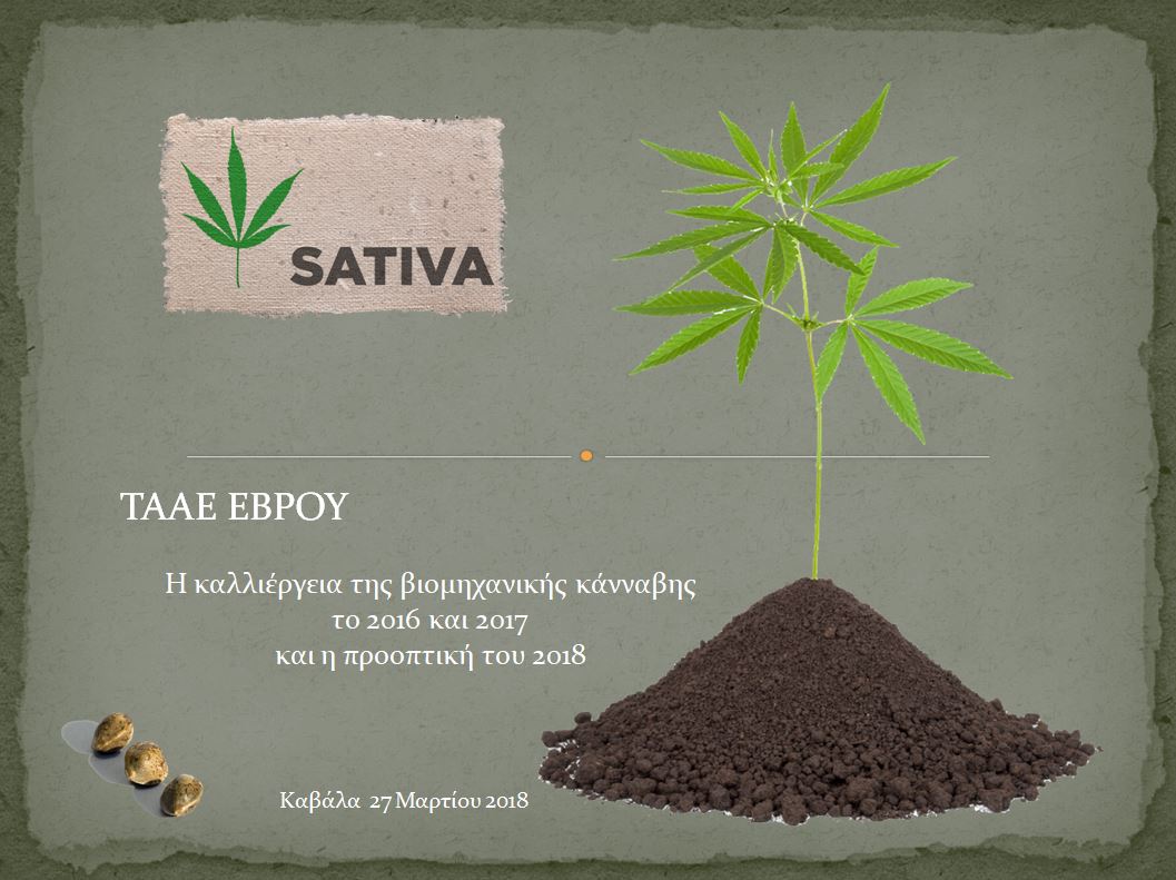 Cannabis_sativa_TAAE_EVROU_2017-2018